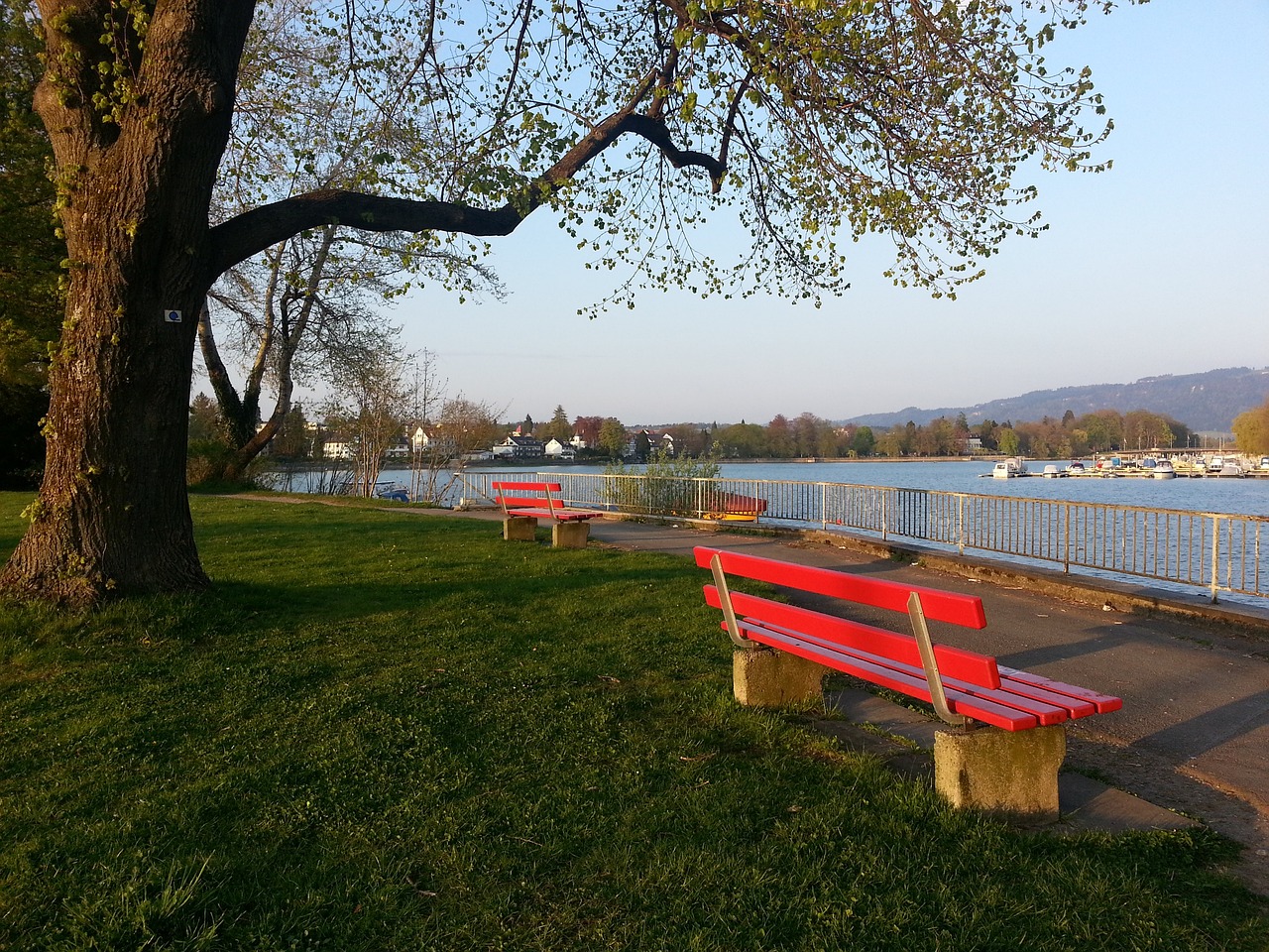 这支球队用 这支球队用