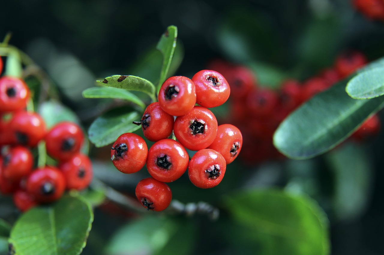 西班牙女足奪冠功臣賽後得知父親去世 卡蒙娜：是你給了我力量.